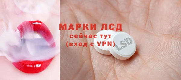 сатива Аркадак