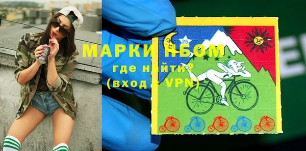 мдпв Арсеньев