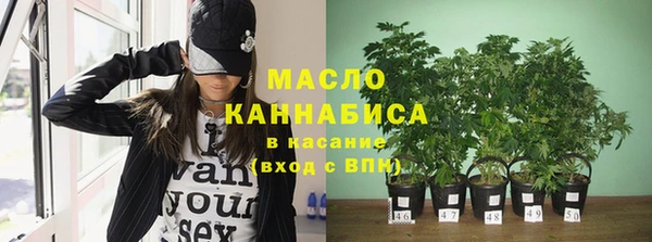 сатива Аркадак