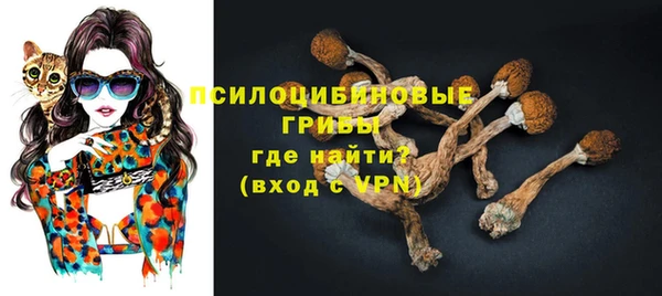 сатива Аркадак