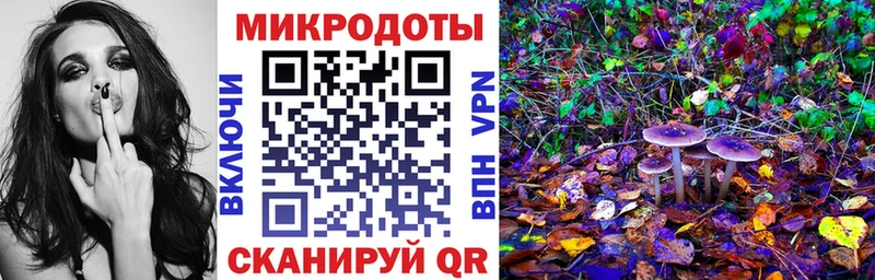 Купить где  Кувшиново  Галлюциногенные грибы Cubensis 